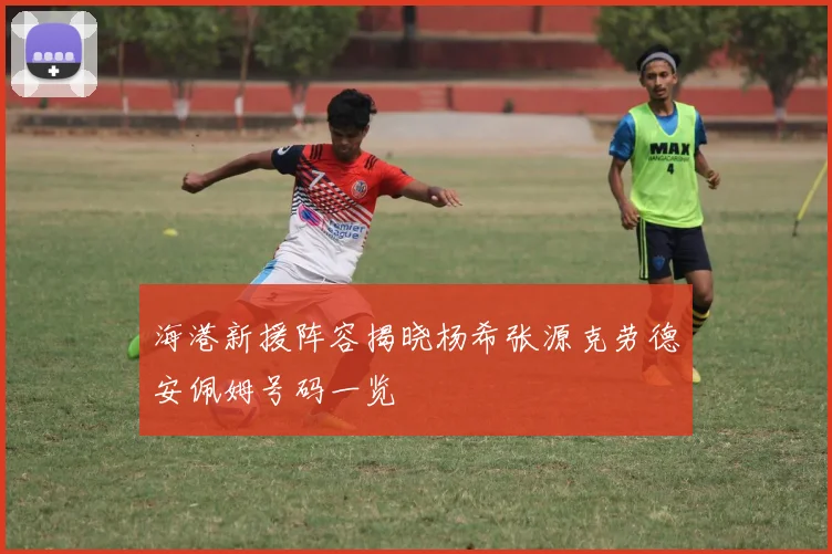 海港新援阵容揭晓杨希张源克劳德安佩姆号码一览